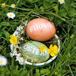 frohe-ostern-641d92a3f0117.jpg